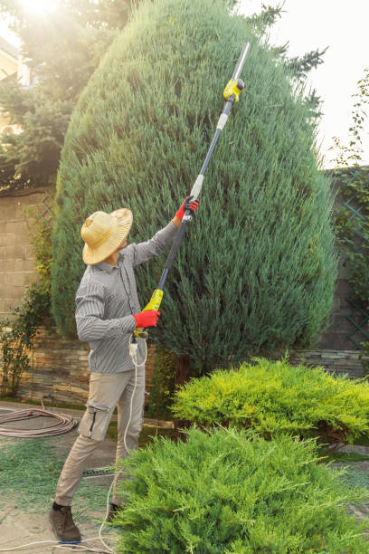  , RI Tree Care Services Pros